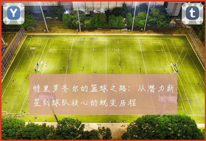 特里罗齐尔的篮球之路：从潜力新星到球队核心的蜕变历程