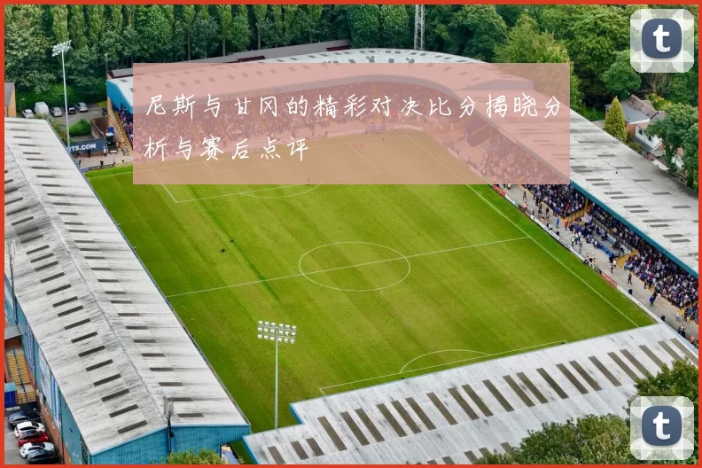 尼斯与甘冈的精彩对决比分揭晓分析与赛后点评