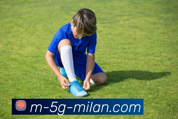 米兰体育APP 封面图